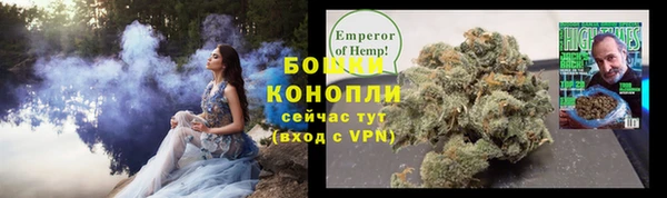 эйфоретик Богданович