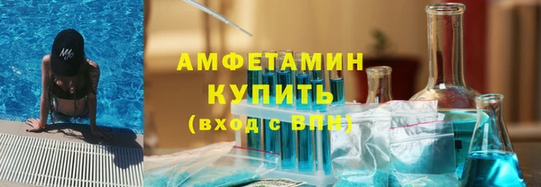 хмурый Аркадак