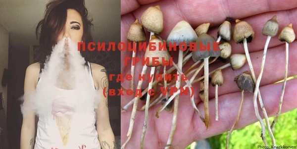 хмурый Киренск
